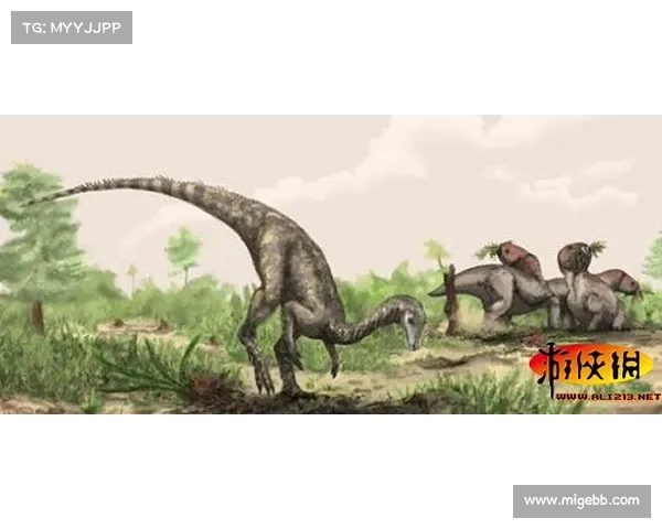 拉菲尼亚力挺特狮继续担任队长不解批评亚马尔私生活的声音